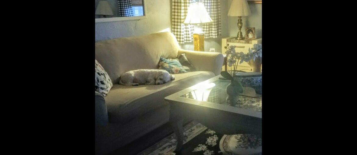 Review: Pastoral Medallion Grey French Area Rug European Formal Traditional Area Rug 3' x 12' R...