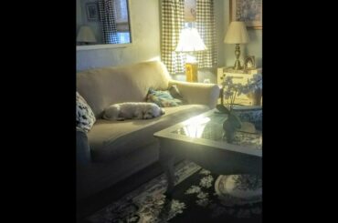 Review: Pastoral Medallion Grey French Area Rug European Formal Traditional Area Rug 3' x 12' R...