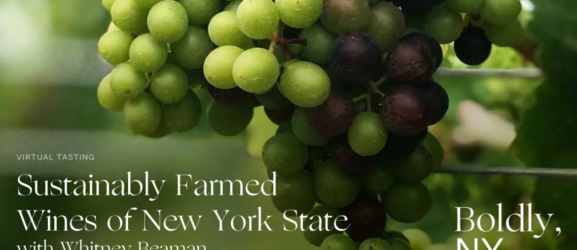 Sustainably Farmed Wines of New York [Virtual Seminar]