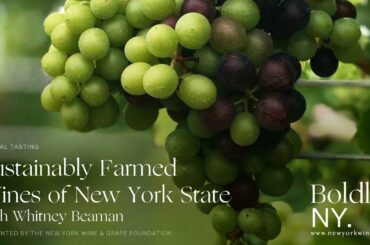 Sustainably Farmed Wines of New York [Virtual Seminar]