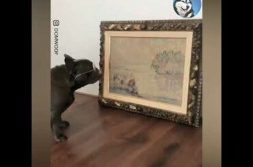 French Bulldog Is An Art Connoisseur
