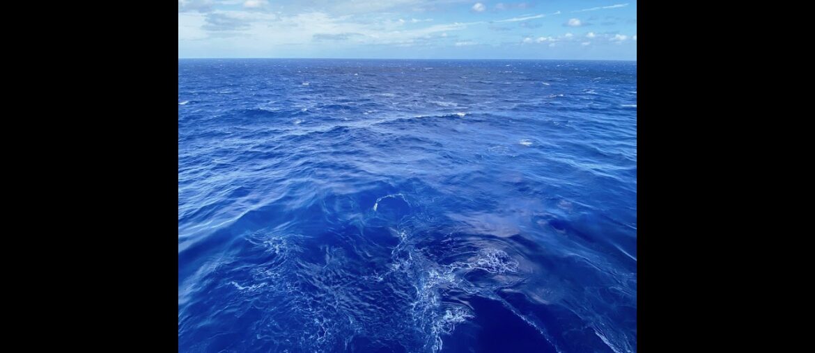 Girl From the French Cafe