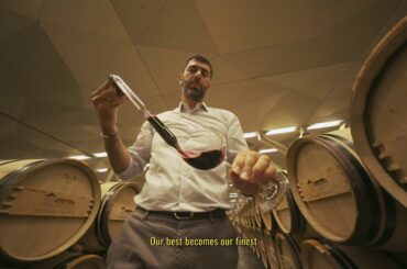 Bordeaux Wines - Diversity is our Culture