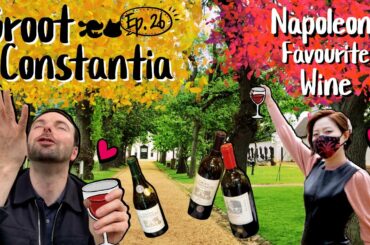 Napoleon's Favorite Wine! | Groot Constantia, Cape Town | International Couple Doggy & Moggy Ep26