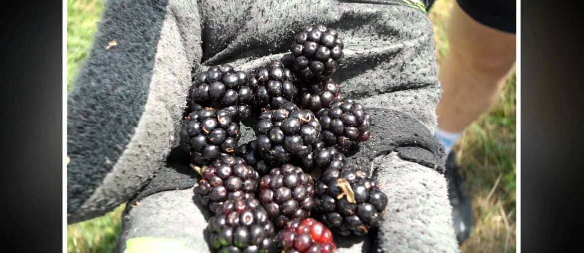 France 2012 Nature Buildings and Food France 2012 Nature Buildings and Food