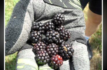 France 2012 Nature Buildings and Food