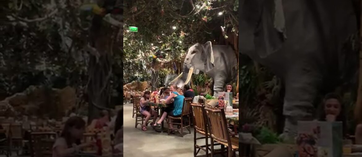 restaurant  in France