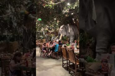 restaurant  in France