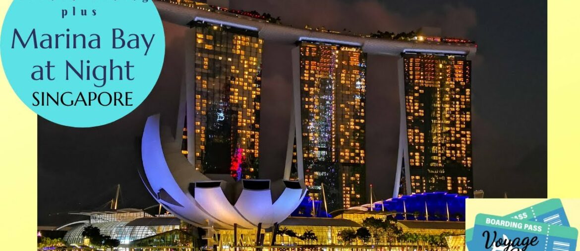 French Dining at La Brasserie plus Night Promenade along Marina Bay (ASMR) French Dining at La Brasserie plus Night Promenade along Marina Bay (ASMR)