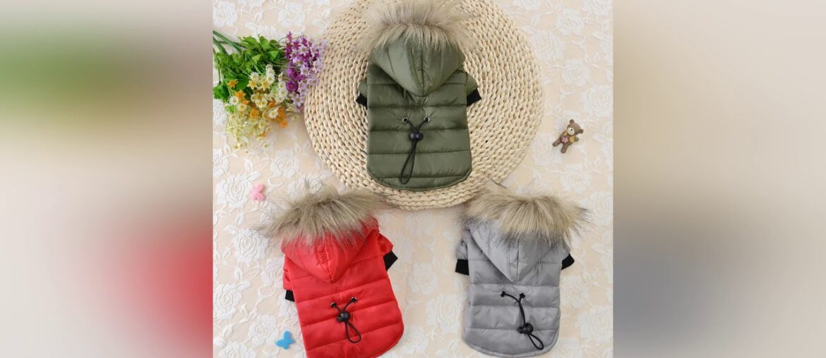 Pet Clothes French Bulldog Puppy Dog Costume Pet Jumpsuit Chihuahua Pug Pets Dogs Clothing for Smal