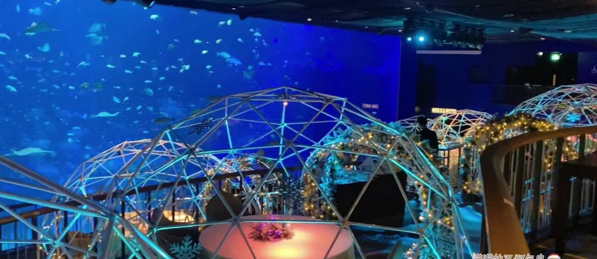 VLOG: Aqua Gastronomy at Resorts World Sentosa Singapore
