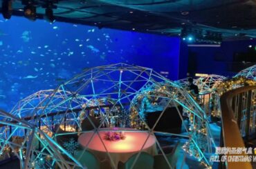 VLOG: Aqua Gastronomy at Resorts World Sentosa Singapore