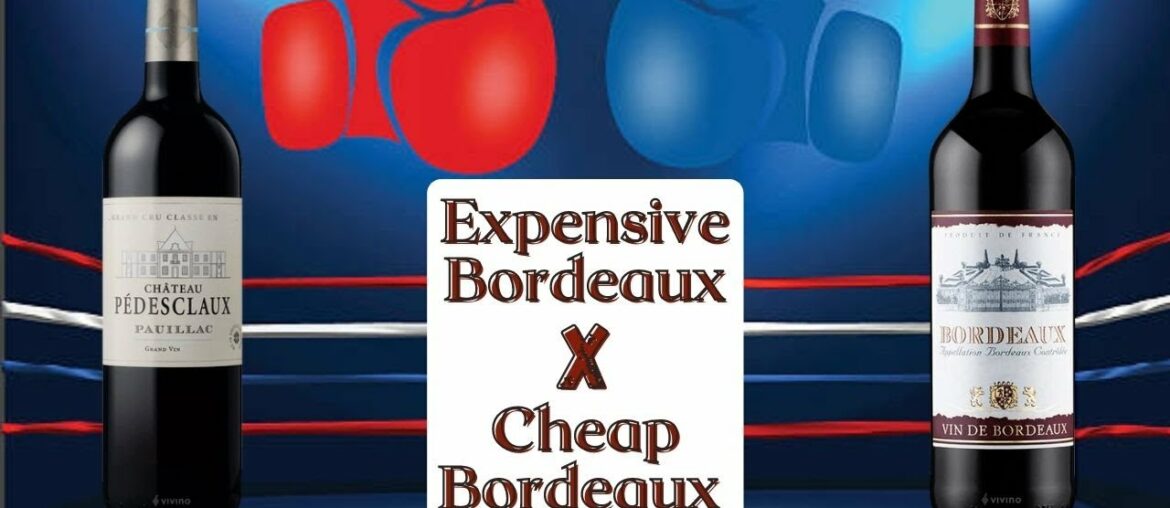 Expensive Bordeaux vs Cheap Bordeaux Wine | What's the difference???