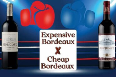 Expensive Bordeaux vs Cheap Bordeaux Wine | What's the difference???