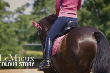 LeMieux Colour Story French Rose