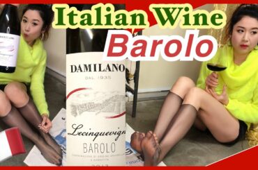 Italian Red Wine  - Damilano Barolo Lecinquevigne 2013, Nebbiolo, Wine Tasting in Pantyhose