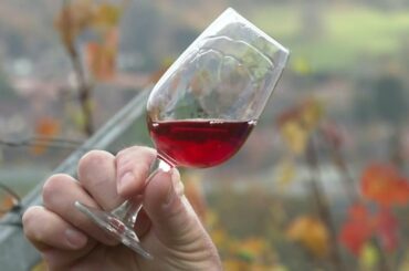 English winemaker makes a local version of 'Beaujolais nouveau' | AFP
