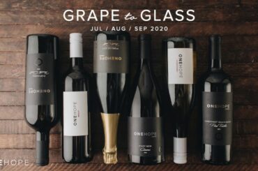 Grape to Glass: Q3 2020