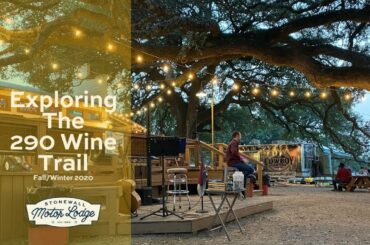 Fall along the 290 Wine Trail