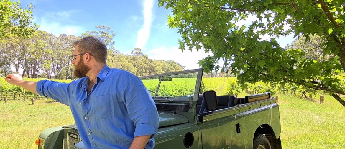 Day 2: Fresh French Whites, An Isolated Six Day Wine Course