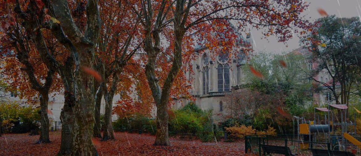 Walk in the light rain during the Lockdown in the french neighborhood calm / Bordeaux 4k / Nov 2020 Walk in the light rain during the Lockdown in the french neighborhood calm / Bordeaux 4k / Nov 2020