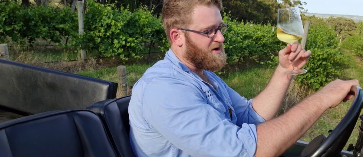 Day 3: An Isolated Six Day Wine Course