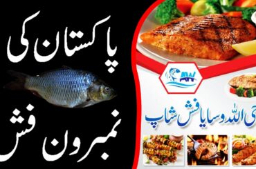 Baba Allah Wasaya Fish & Machli Tikka Khuni Burj Chowk Waly T.B Hospital Road, near Pak gate Multan