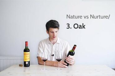 Spotting oak influence in wine flavour | Nature vs Nurture/3