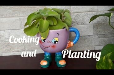 Oregano planting from cuttings/ /Nutritious facts of oregano//Vegetables French toast recipe//