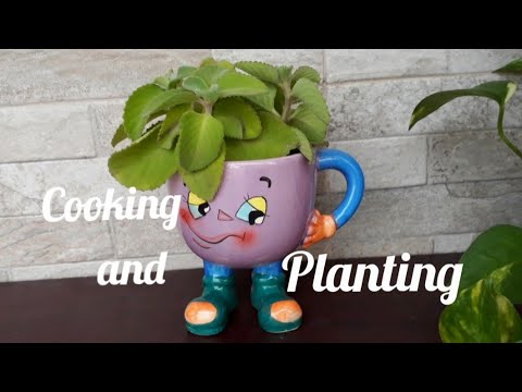 Oregano planting from cuttings/ /Nutritious facts of oregano//Vegetables French toast recipe// Oregano planting from cuttings/ /Nutritious facts of oregano//Vegetables French toast recipe//