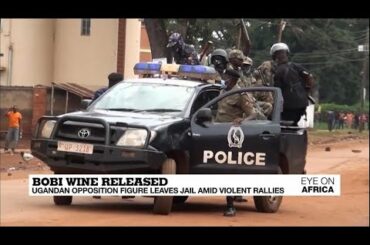Bobi Wine released: Ugandan opposition figure leaves jail amid violent rallies