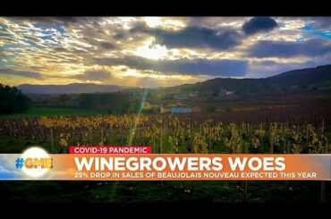 Winegrowers warn of 25% drop in sales of ‘Beaujolais Nouveau’ this year