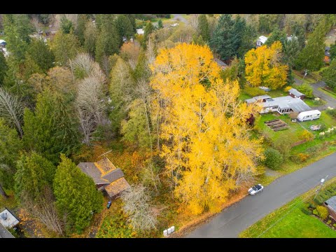 Real Estate, French Creek, $268,000, Lee Rd, Vancouver Isl, Susan Forrest, Home, House, Sale Real Estate, French Creek, $268,000, Lee Rd, Vancouver Isl, Susan Forrest, Home, House, Sale