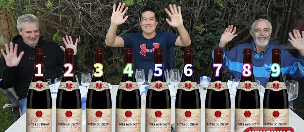 Same base wine with 9 manipulations? Can man taste the differences? (manipulated wines 2/3)