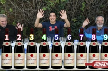 Same base wine with 9 manipulations? Can man taste the differences? (manipulated wines 2/3)