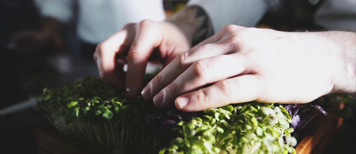 "The Nature" Modern French Dining - [New Bangkok Restaurant]