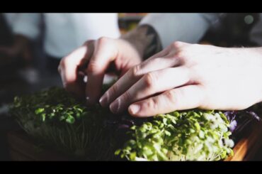 "The Nature" Modern French Dining - [New Bangkok Restaurant]