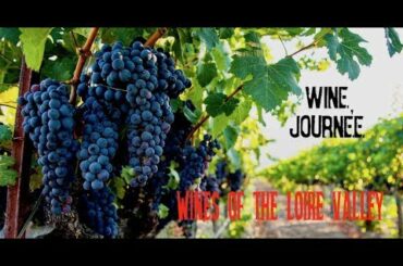 Natural wines of the Loire Valley - Cheverny