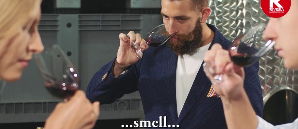 Wine Tasting Nice Wine Tasting Nice