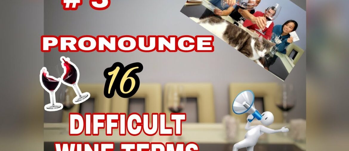 HOW TO PRONOUNCE 48 WINE TERMS // WINE PRONUNCIATION PART 3 HOW TO PRONOUNCE 48 WINE TERMS // WINE PRONUNCIATION PART 3