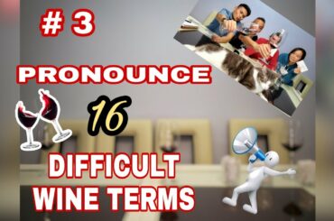 HOW TO PRONOUNCE 48 WINE TERMS // WINE PRONUNCIATION PART 3
