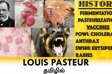 Contribution of Louis Pasteur to Microbiology / History of Microbiology / Pasteurization / Tamil