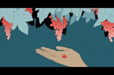 It’s Time to Put the Noble Grapes in Their Place