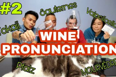 HOW TO PRONOUNCE 15 WINE TERMS // WINE PRONUNCIATION- PART 2
