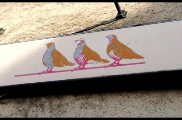 Not Quite a Chateau 28   A lot of Ups and Downs   and How to Fix Shutters