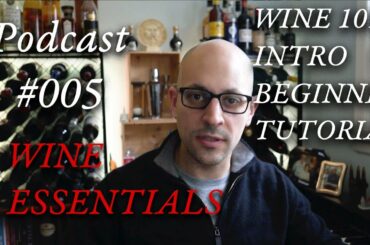 Podcast #005 | WINE ESSENTIALS 101 INTRO BEGINNER TUTORIAL