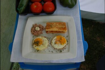 Gourmet restaurant dish Breakfast or Starter cooked in the African Bush