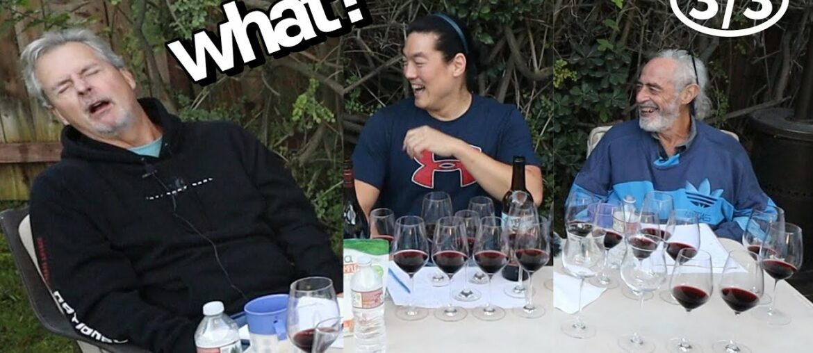 How manipulated wine destroys you (manipulated wines 3/3) How manipulated wine destroys you (manipulated wines 3/3)