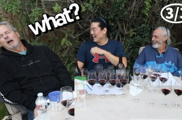 How manipulated wine destroys you (manipulated wines 3/3)