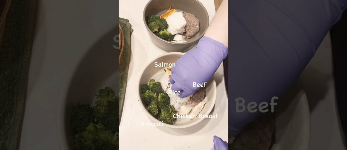 5-Star Meal for French Bulldogs